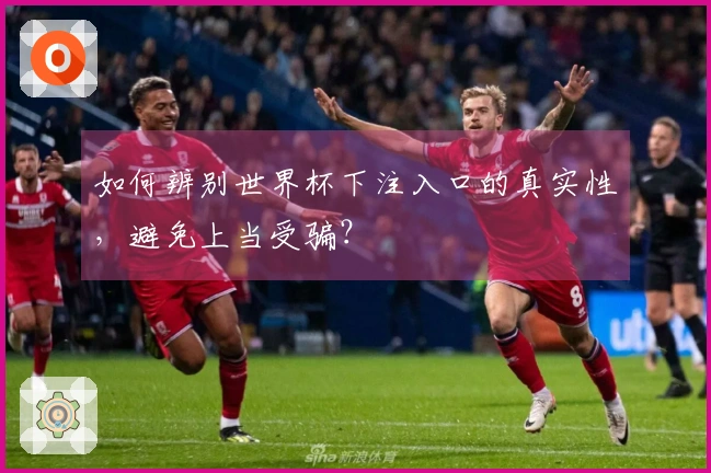 如何辨别世界杯下注入口的真实性，避免上当受骗？