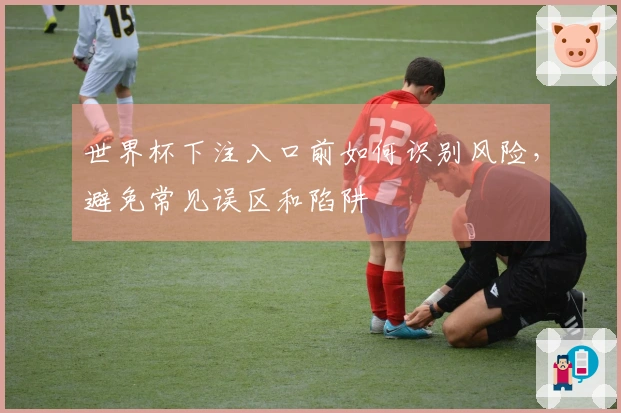 世界杯下注入口前如何识别风险，避免常见误区和陷阱