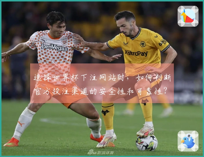 选择世界杯下注网站时，如何判断官方投注渠道的安全性和可靠性？