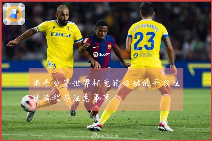老手分享世界杯竞猜活动的平台注册流程与注意事项