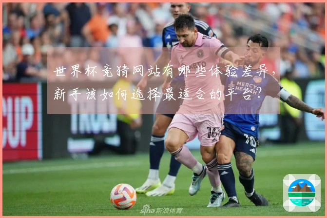 世界杯竞猜网站有哪些体验差异，新手该如何选择最适合的平台？