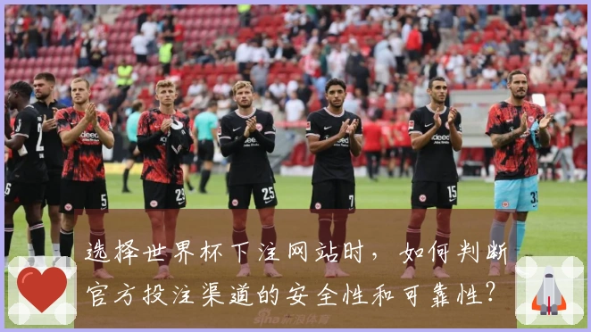 选择世界杯下注网站时，如何判断官方投注渠道的安全性和可靠性？