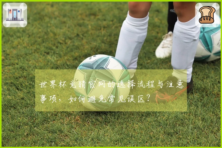 世界杯竞猜官网的选择流程与注意事项，如何避免常见误区？