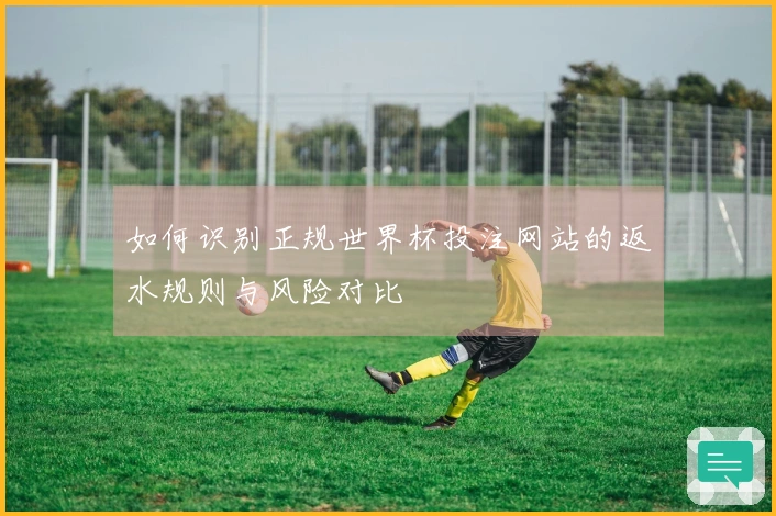 如何识别正规世界杯投注网站的返水规则与风险对比