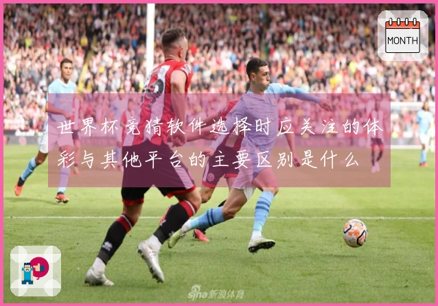 世界杯竞猜软件选择时应关注的体彩与其他平台的主要区别是什么